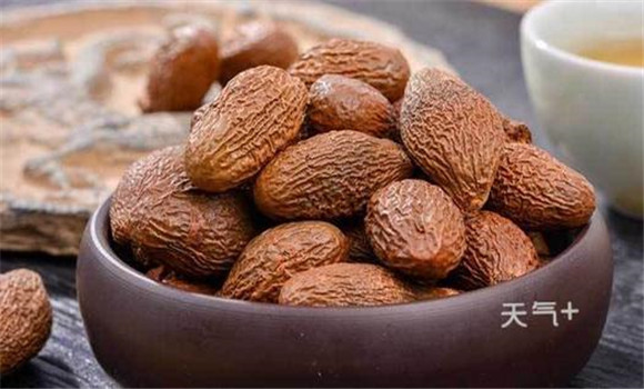 胖大海有降壓利尿、抗菌消炎的功效