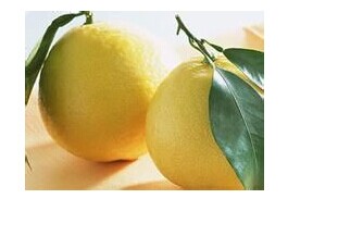 柚子的營養(yǎng)價值有哪些 柚子有什么營養(yǎng)價值 柚子的功效與作用