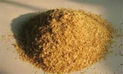 麥麩子是什么東西，麥麩喂羊有什么好處？