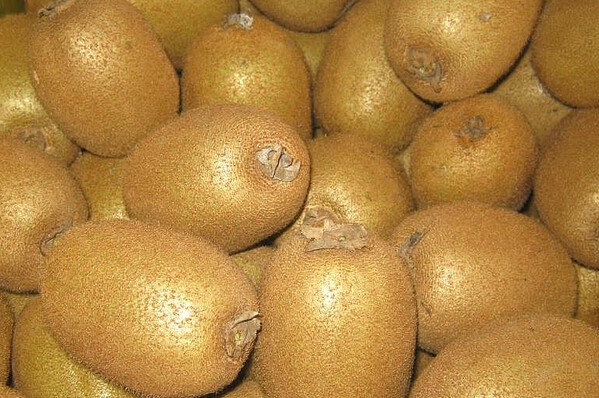 海沃德獼猴桃的功效與作用 獼猴桃的作用