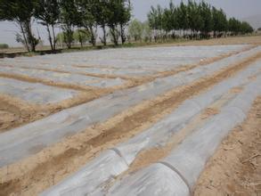 選好地塊，合理輪作