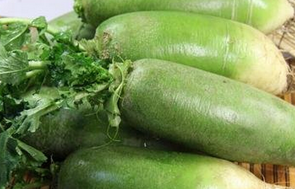 青皮蘿卜的營養(yǎng)價值和功效 蘿卜的功效與作用