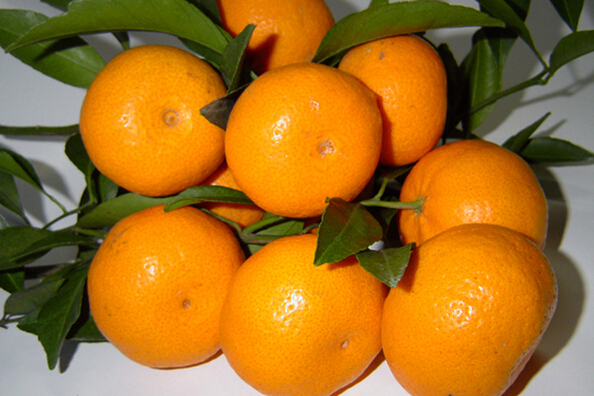 南豐蜜桔的功效與作用 果樹的作用與功效