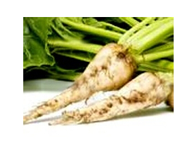 葉用甜菜的營養(yǎng)價(jià)值和功效 甜菜的功效與作用