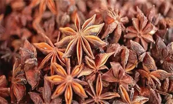 八角選購與儲(chǔ)存指南
