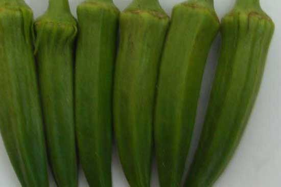 黃秋葵的功效與作用 黃秋葵種植技術(shù)