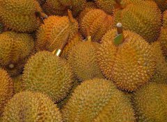 榴蓮的產(chǎn)地有哪些地方?