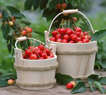 吃櫻桃對(duì)孕婦的好處 孕婦吃櫻桃的功效作用 吃櫻桃對(duì)孕婦的好處