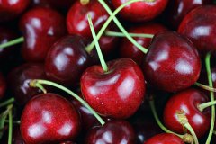 車?yán)遄拥臓I(yíng)養(yǎng)價(jià)值有哪些 車?yán)遄拥墓πc作用