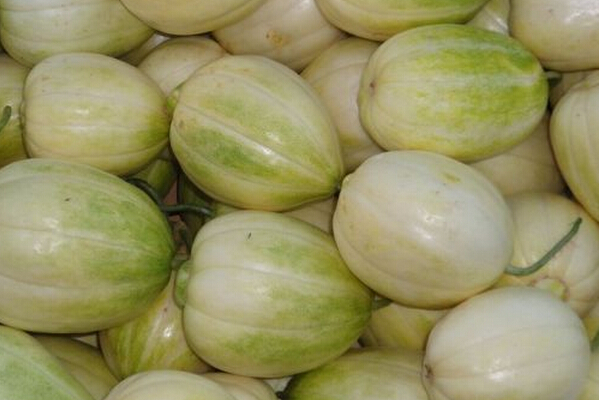 香瓜吃了有什么作用 香瓜對(duì)人體的好處 香瓜的功效與作用