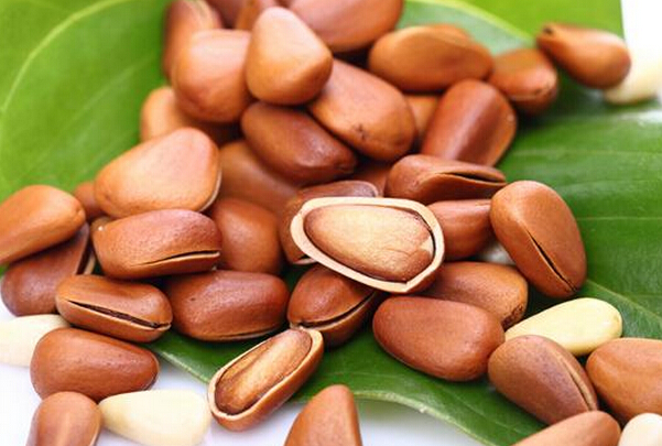 松仁的功效與作用 吃松仁的好處 經濟作物的作用