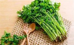 什么是食物的辛酸甘苦咸？各類(lèi)食物的作用特點(diǎn)