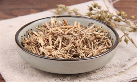 白前用法,用量與禁忌