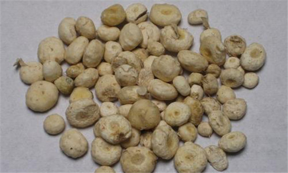 天南星的用法、用量與禁忌