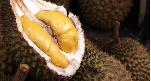 榴蓮籽的營養(yǎng)價值有哪些 榴蓮的功效與作用