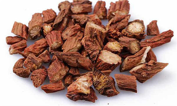 丹參的用法、用量與禁忌