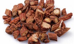 丹參的性能、主治、臨床應(yīng)用及用藥注意事項(xiàng)