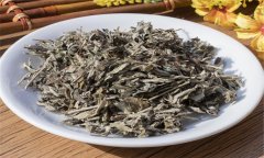 艾葉的性能、主治、臨床應(yīng)用及注意事項(xiàng)