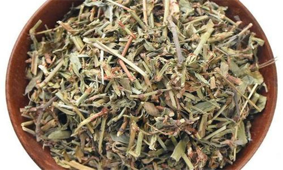 萹蓄的用法、用量與禁忌