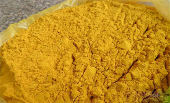 蒲黃的用法、用量與禁忌