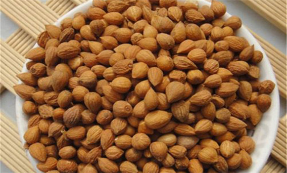 郁李仁的用法、用量與禁忌