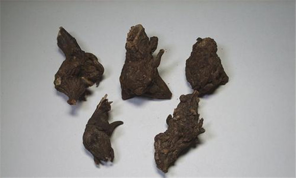 川烏的用法、用量與禁忌