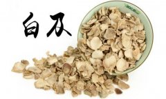 白及的產(chǎn)地是哪里？白及的用法、用量與禁忌