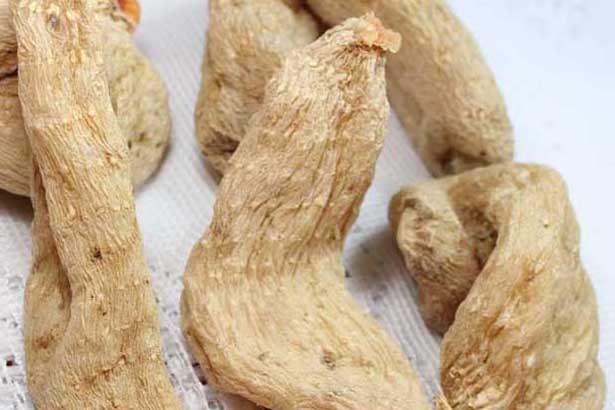 天麻-有關(guān)天麻的知識(shí) 天麻圖片