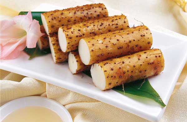 山藥-有關山藥的資料 山藥圖片