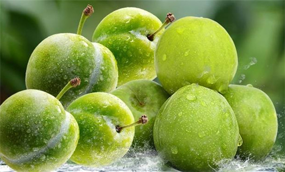 清熱利尿，祛暑熱之疾