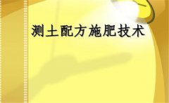什么是測(cè)土配方施肥，測(cè)土配方施肥的基本要求