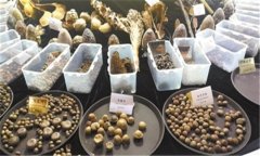 怎樣安全貯存蔬菜種子？蔬菜種子知識