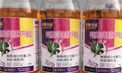 bt殺蟲劑的最佳使用方法，需掌握以下四點