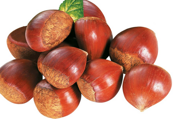 板栗的功效與吃法 板栗的功效與作用