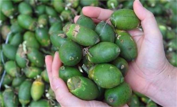 購買、挑選檳榔小技巧