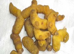 黃精的產(chǎn)地有哪些？