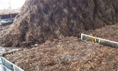 猴頭菇室內(nèi)簡易袋栽培技術簡介