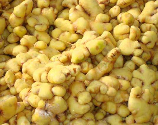 生姜的功效與作用有哪些? 生姜種植管理方法