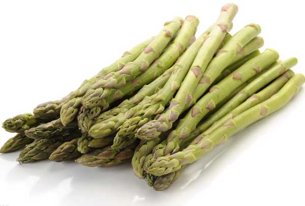 蘆筍的功效與作用 蘆筍種植技術(shù)