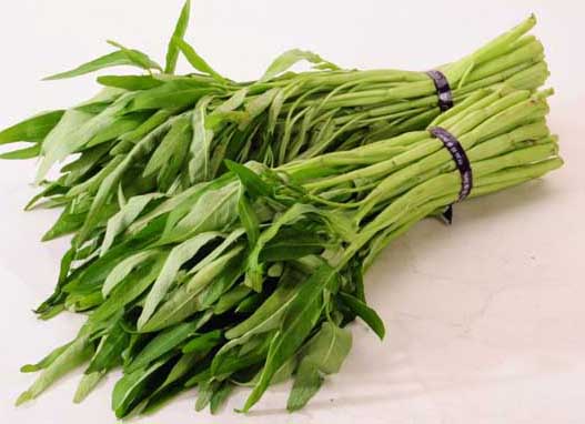 空心菜的營養(yǎng)價(jià)值 空心菜種植方法