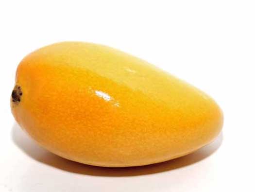 芒果的功效與作用 芒果種植方法