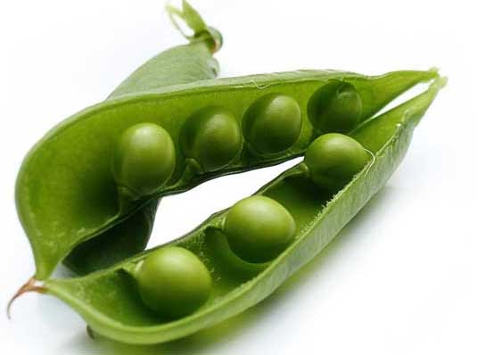 豌豆的作用與功效 豌豆種植技術(shù)