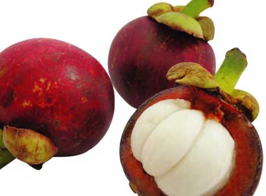 山竹的營養(yǎng)價值與作用功效 其它作物的功效與作用