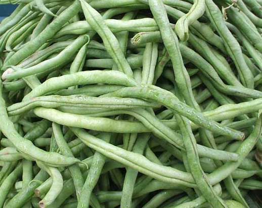 四季豆的營養(yǎng)價值及中毒處理 四季豆種植管理方法