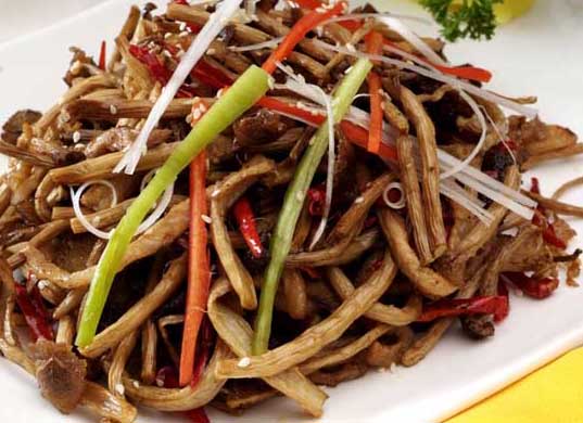 茶樹菇的營養(yǎng)價值 茶樹菇種植技術(shù)