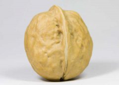 核桃的功效與作用有哪些，吃核桃有什么好處？