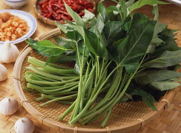 孕婦可以吃空心菜嗎? 空心菜種植方法