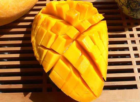 芒果不能和什么一起吃 芒果種植技術(shù)