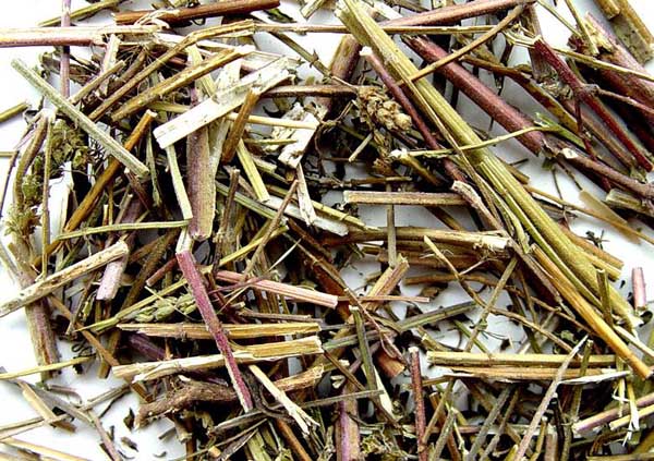 荊芥的功效與作用 荊芥的功效與作用