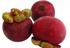 孕婦能吃山竹嗎？有哪些需注意事項